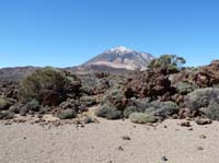 Teneriffa-Wandern-471-Las-Canadas