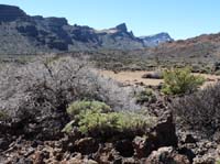 Teneriffa-Wandern-474-Las-Canadas