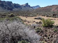 Teneriffa-Wandern-475-Las-Canadas