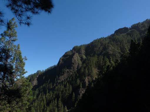 Teneriffa-Wandern-043-Los-Organos