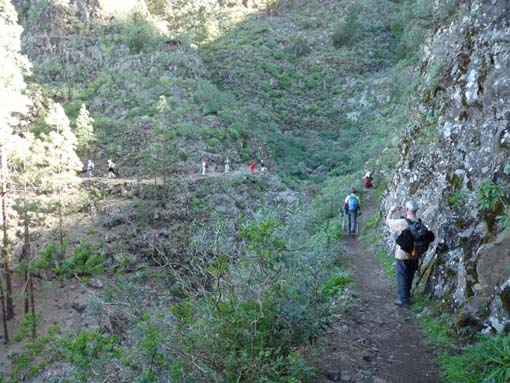 Teneriffa-Wandern-044-Los-Organos