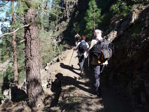 Teneriffa-Wandern-047-Los-Organos