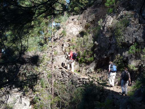 Teneriffa-Wandern-051-Los-Organos