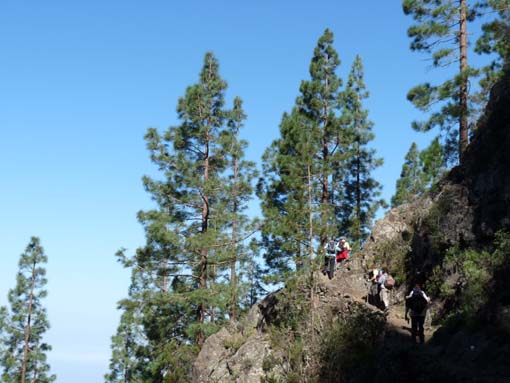 Teide, Teneriffa