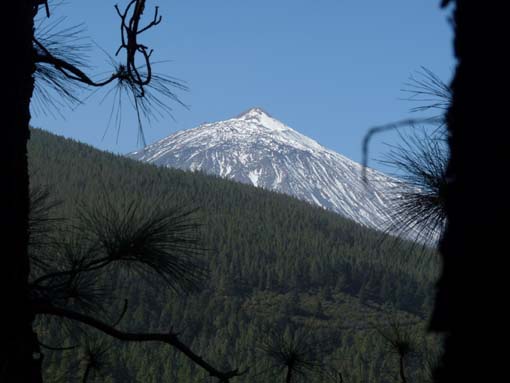 Teneriffa-Wandern-056-Los-Organos