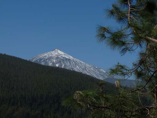 Teneriffa-Wandern-057-Los-Organos