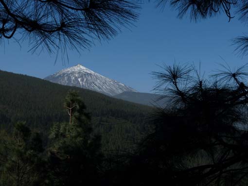 Teneriffa-Wandern-061-Los-Organos