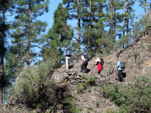 Teneriffa-Wandern-063-Los-Organos