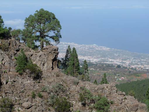 Teneriffa-Wandern-072-Los-Organos