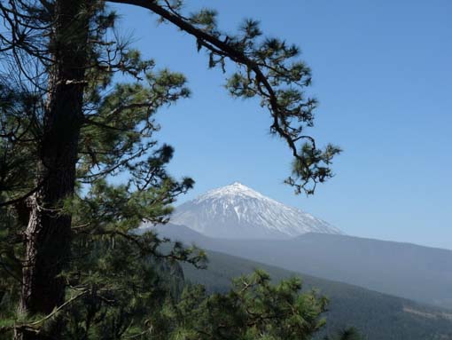 Teneriffa-Wandern-086-Los-Organos