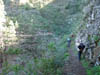 Teneriffa-Wandern-044-Los-Organos