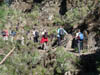 Teneriffa-Wandern-048-Los-Organos