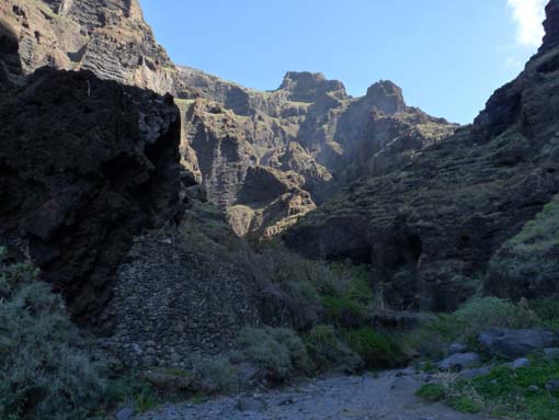 Teneriffa-Wandern-602-Masca-Schlucht