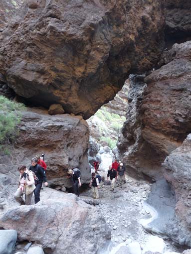 Teneriffa-Wandern-609-Masca-Schlucht