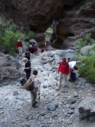 Teneriffa-Wandern-611-Masca-Schlucht