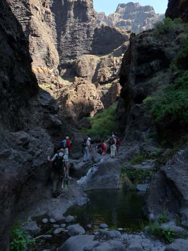 Teneriffa-Wandern-620-Masca-Schlucht