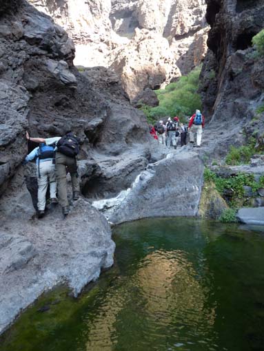 Teneriffa-Wandern-621-Masca-Schlucht