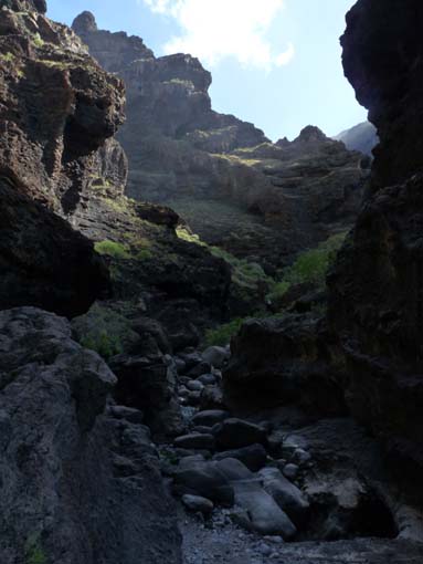 Teneriffa-Wandern-623-Masca-Schlucht