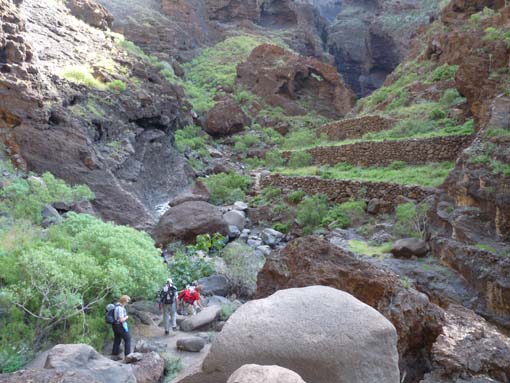 Teneriffa-Wandern-626-Masca-Schlucht