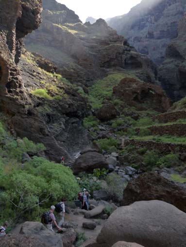 Teneriffa-Wandern-627-Masca-Schlucht