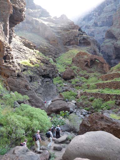 Teneriffa-Wandern-628-Masca-Schlucht