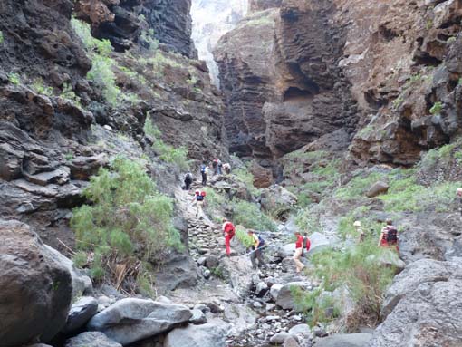 Teneriffa-Wandern-631-Masca-Schlucht