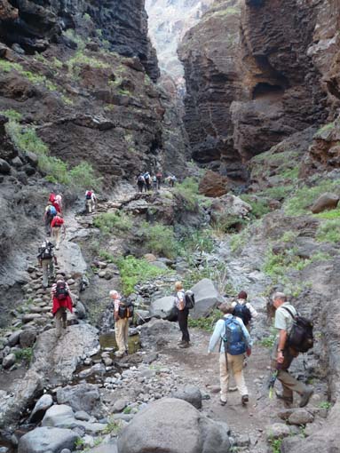 Teneriffa-Wandern-633-Masca-Schlucht
