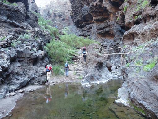 Teneriffa-Wandern-637-Masca-Schlucht