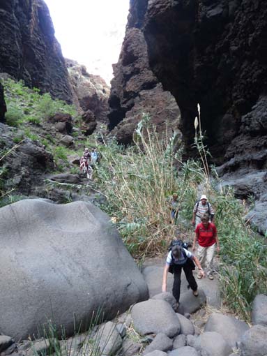 Teneriffa-Wandern-638-Masca-Schlucht