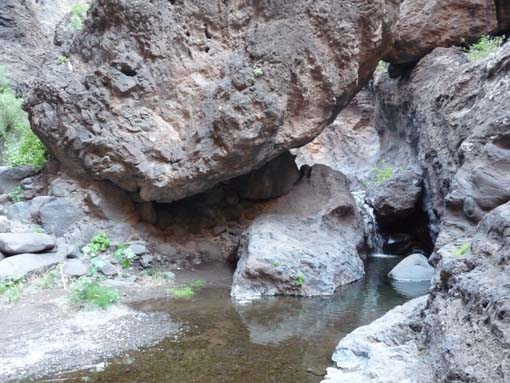 Teneriffa-Wandern-655-Masca-Schlucht