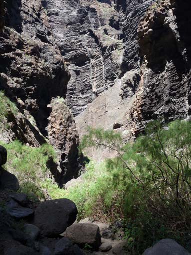Teneriffa-Wandern-656-Masca-Schlucht