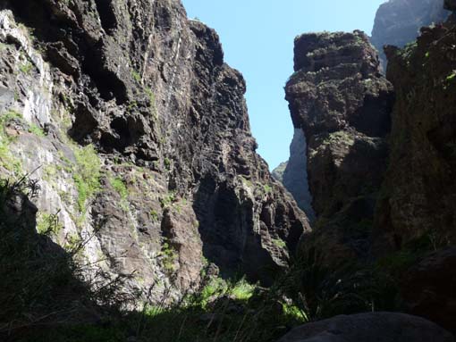 Teneriffa-Wandern-659-Masca-Schlucht