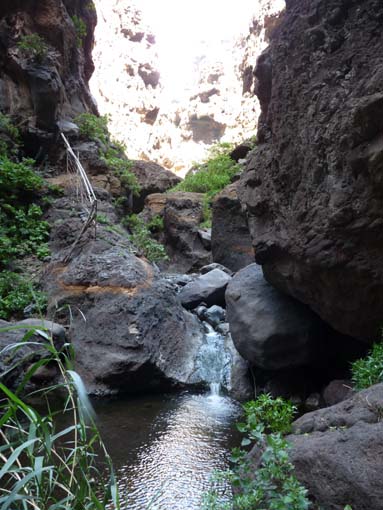 Teneriffa-Wandern-662-Masca-Schlucht