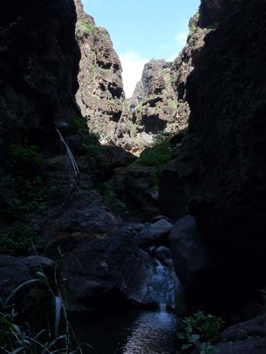 Teneriffa-Wandern-663-Masca-Schlucht