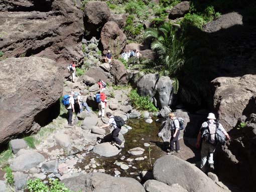 Teneriffa-Wandern-666-Masca-Schlucht