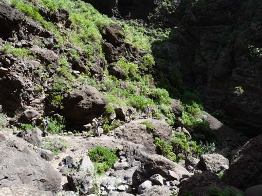 Teneriffa-Wandern-667-Masca-Schlucht