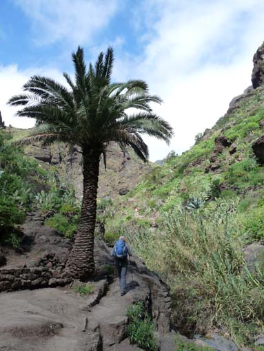 Teneriffa-Wandern-672-Masca-Schlucht