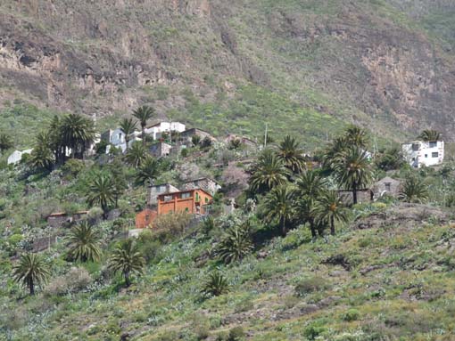 Teneriffa-Wandern-677-Masca-Schlucht
