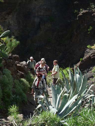 Teneriffa-Wandern-680-Masca-Schlucht