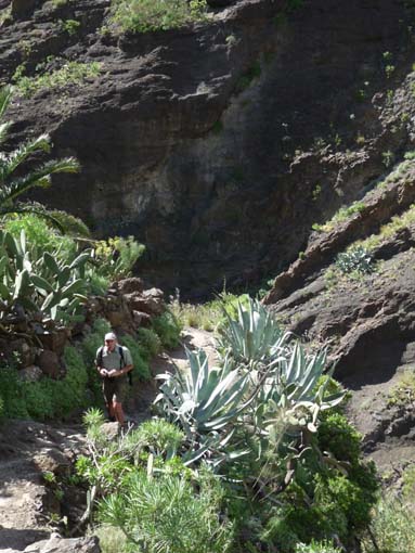 Teneriffa-Wandern-683-Masca-Schlucht