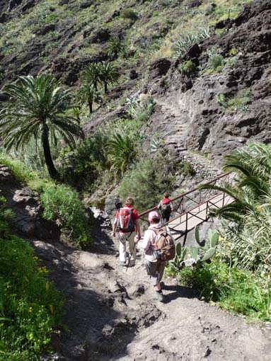 Teneriffa-Wandern-685-Masca-Schlucht