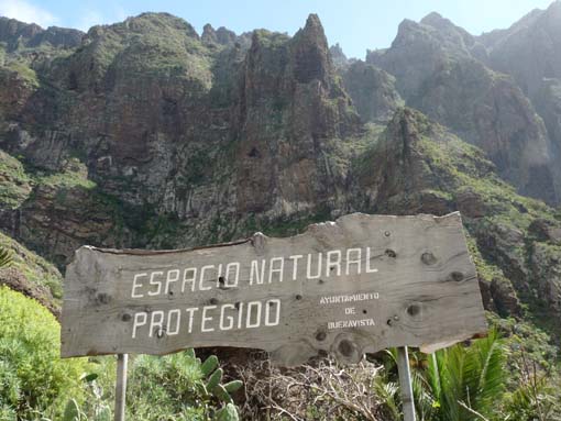 Teneriffa-Wandern-690-Masca-Schlucht