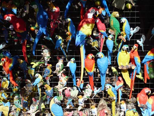 Teneriffa-Wandern-710-Masca-Schlucht