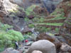 Teneriffa-Wandern-626-Masca-Schlucht