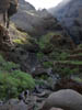 Teneriffa-Wandern-627-Masca-Schlucht