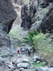 Teneriffa-Wandern-640-Masca-Schlucht