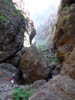 Teneriffa-Wandern-660-Masca-Schlucht