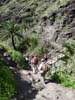 Teneriffa-Wandern-685-Masca-Schlucht