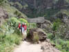 Teneriffa-Wandern-691-Masca-Schlucht