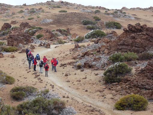 Teneriffa-Wandern-808-MontBlanca-ElPortillo